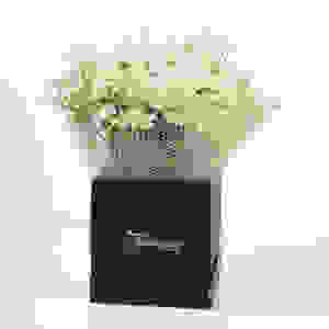 Whimsical Whites - White Chrysanthemums