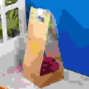 Magical Maroon - Chrysanthemums