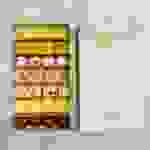 Pearl Mithai Collection - 1.2kg