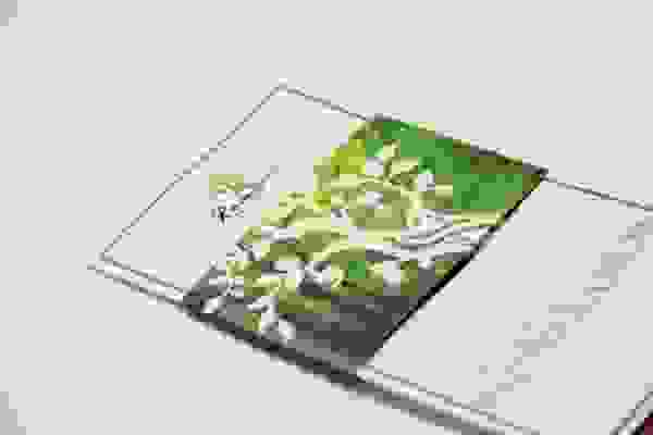 Raintree Spa Voucher Worth Rs. 5000