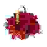 4 Dozen Roses Basket