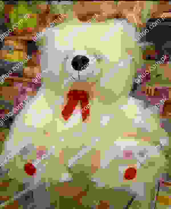 Long Hair Teddy Bear